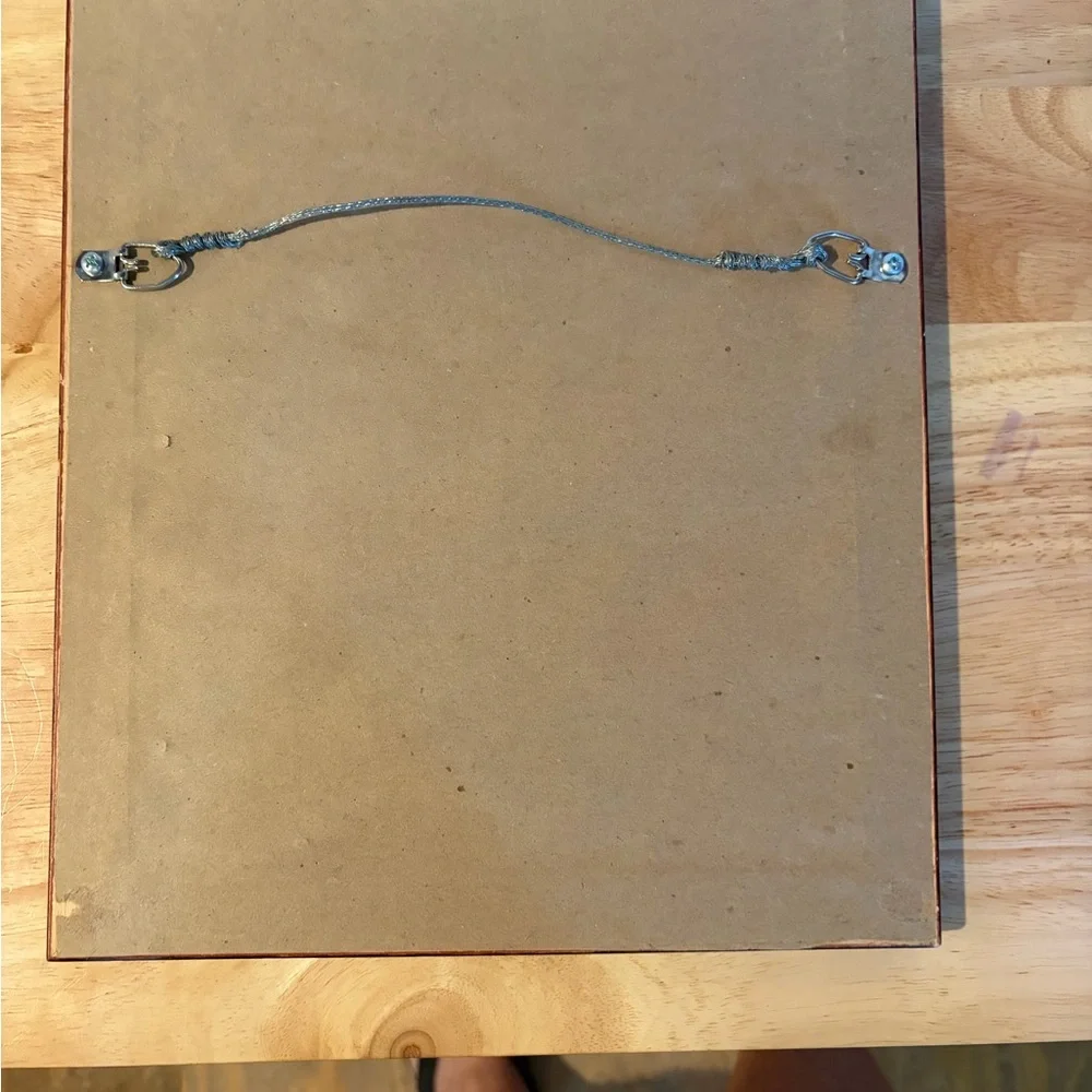 Red Tail Hawk on a Limb Double Mat Framed Art Print Size 12”x10” Nature Wildlife - Picture 5 of 6